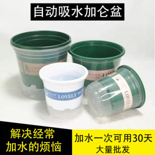 Thick plastic absorbent flower pot lazy green radish transparent flower pot cover hanging orchid pot indoor water-free hydroponic flower pot