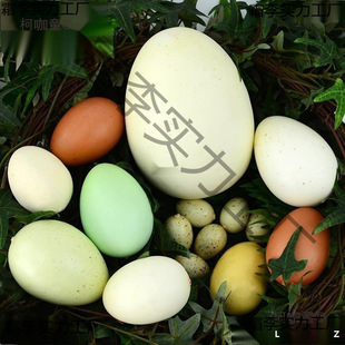 �u���Z�������r�B���������g�����޵����u��ģ�͙����z�¿�ͯ