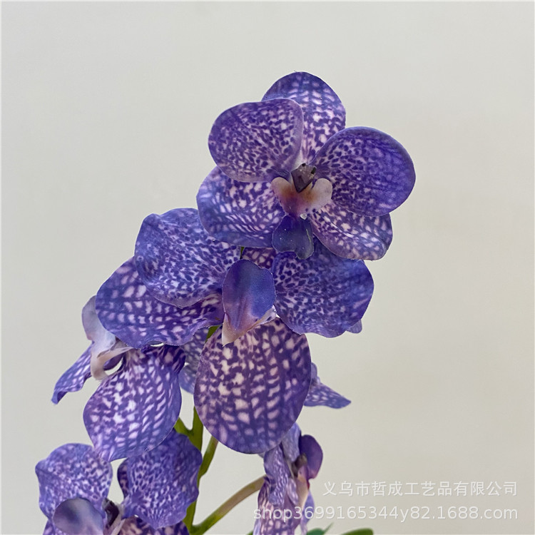 高品质仿真花胡姬万代兰高品质手感7头兰花软装婚庆家居装饰花艺-阿里巴巴