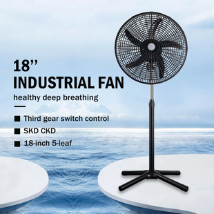 Stand fan 220V 110V ɢ�� SKD ��؛���I�� ����� ��ʽ���I�L��