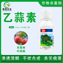 SE 80%طO~߲FֲrșƷ