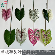 ֦5^~ ~ Ҿb廨 @@־Güٻ