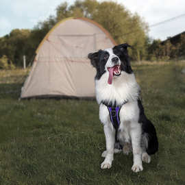 宠物狗狗胸背带 工字型反光狗狗背心式背带可提拉防爆冲大