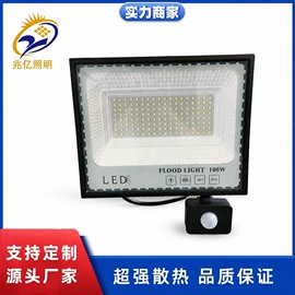 太阳能灯;投光灯;路灯
