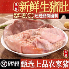 ���r�i�ǸɃ���ϴ���i�����iθ�r��ɢ�B���i�r�i�����l����