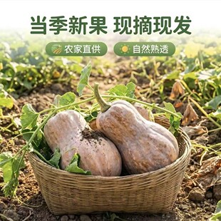 ���rС�����Ϲ����ڌ����oʳ������Ŵ�����Ϲ����lܛŴ���𶹝{