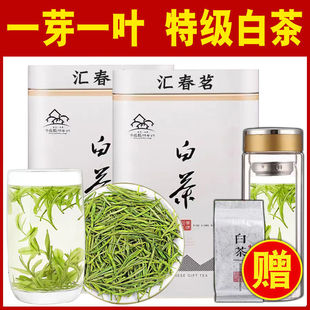 2024�²衾�R�����ؼ��ײ衿���ڝ�������ϡ�ײ��~���bɢ�b�Y���b