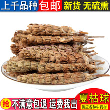 Ұ���Ŀݲݲ��Ŀ��� ��鳲ݴ������؛500�˰��]