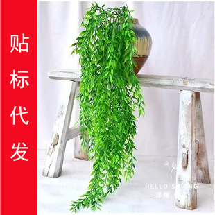 ���洹���ٗl�Gֲ�ڒ��b�ֲ�����~�����͏d�����쾰����Gֲ