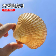 ��Ȼ����ؐ������ؐ����������ؐ�P�Ӕ[���~���쾰�˼ľ�зˮ��