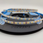 2835二合一灯双色温灯带双线小夜灯浴室智能无极调光防水led灯条