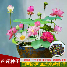 �S�����l˯ɏˮ���^������ˮ�B���ܻ��N���ļ���ɏ�N��һ�����l