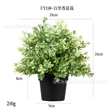 �������԰����� ���R�d�Ҿ��b�Ʒ�ٻ��k�������[�O����Gֲ�辰