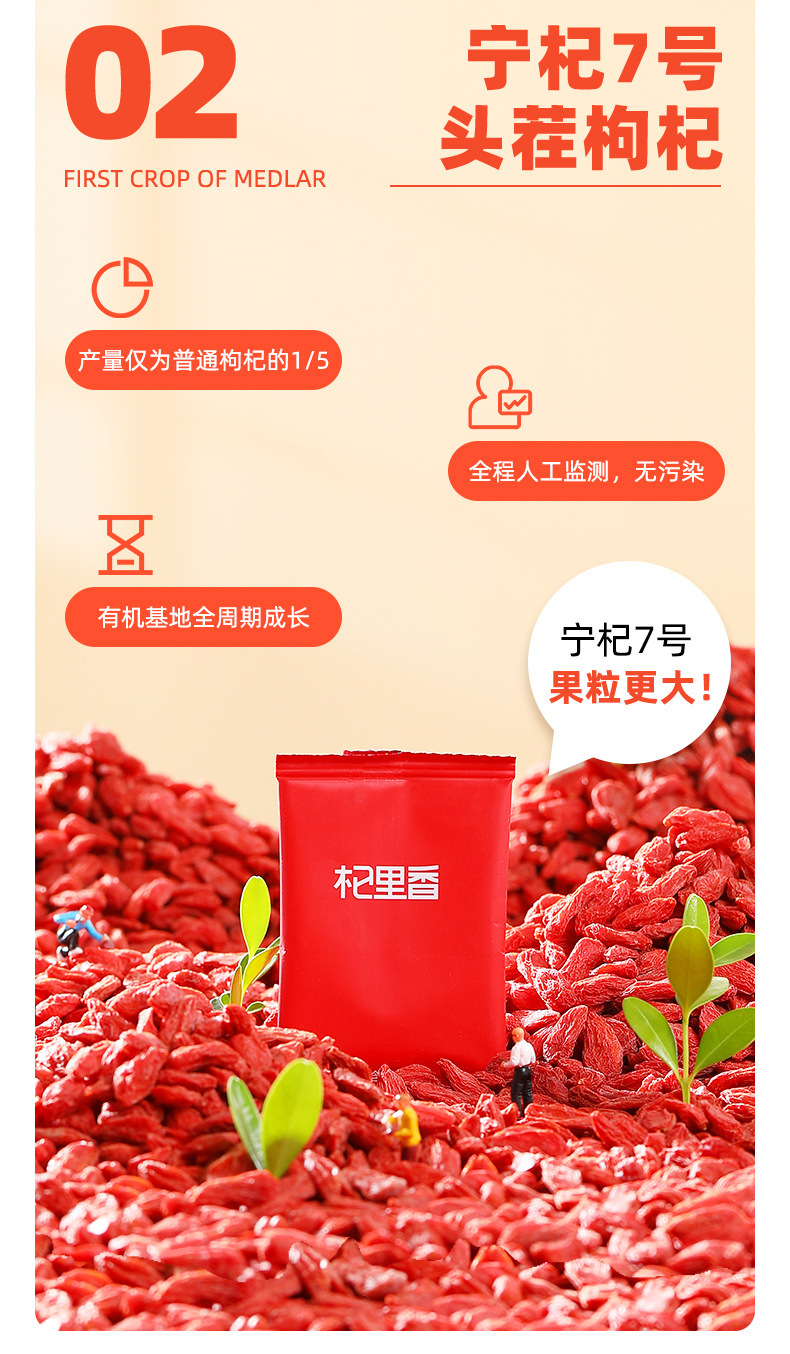 Premium Ningxia Goji Berry Gift Box 180g First Harvest Grade Gou Qi Zi Ready to Eat quality and texture