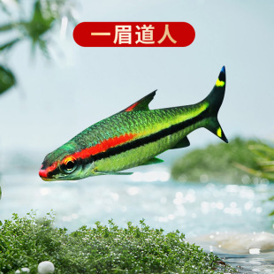 һü�����~����w�Ꭷ�^�p�~���w�ɻ��Bˮ��ݸ�Ⱥ�ΝO�����l