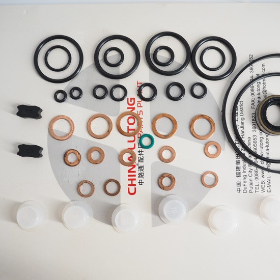 800647 Pump Repair Kits 柴油发动机修理包