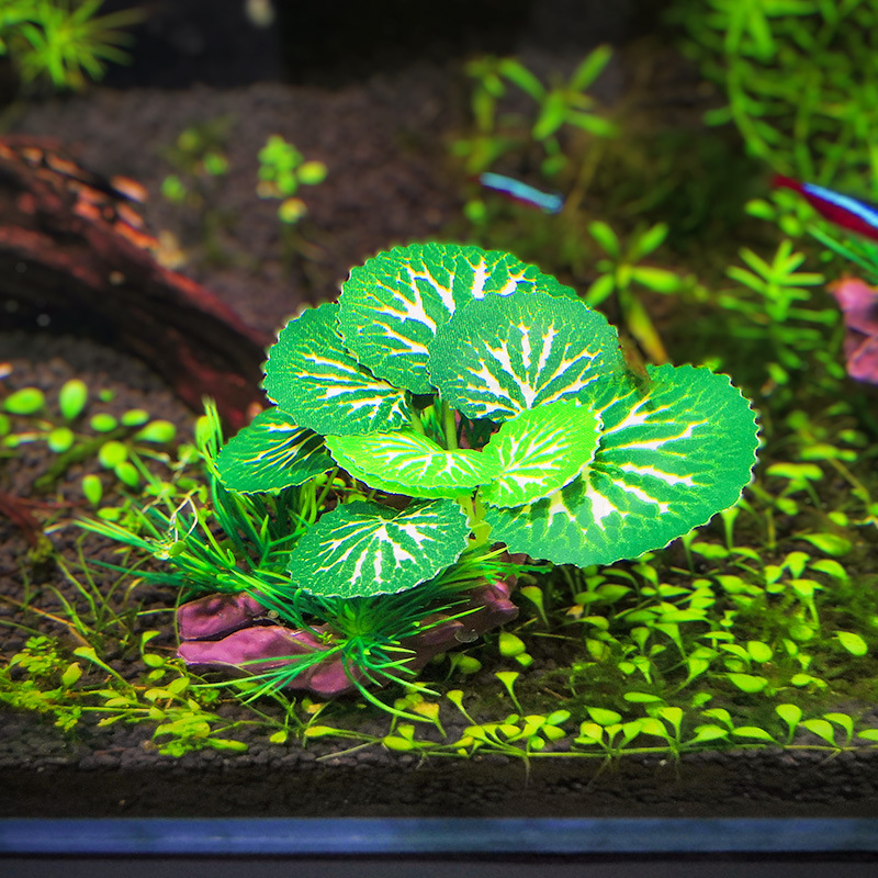 Suministro directo de Suzhou de plantas acuáticas de madera flotante, plantas acuáticas para acuarios para paisajismo, plantas acuáticas artificiales para acuarios, decoraciones de plantas verdes, hoja de betta.