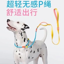 Howgo狗狗牵引绳狗绳子遛狗牵引带小中大型犬p链p绳防爆冲狗链子