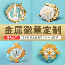 金属徽章定制烤漆珐琅锌合金创意胸章奖章胸章司徽校徽班徽可定做