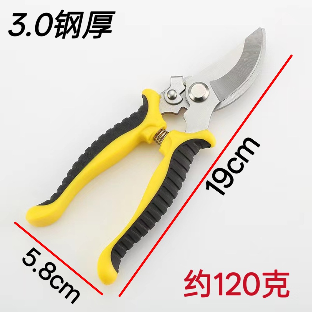 微信图片_20250712142302