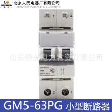 GM5-63PG/2 63A 500Vֱ뿪 DC-22