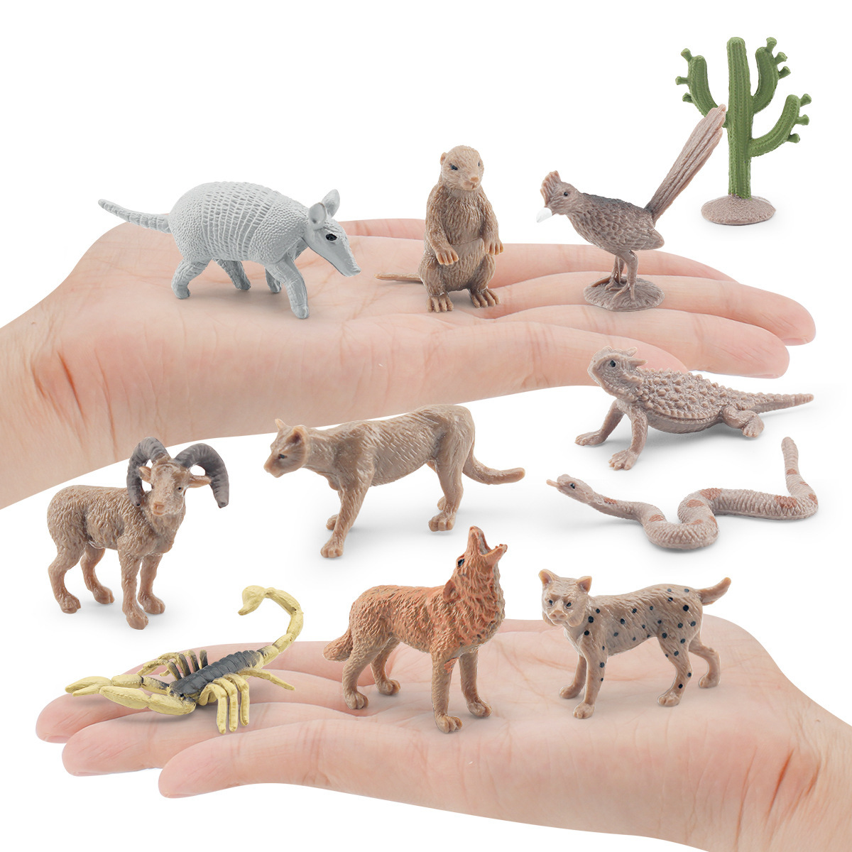 Transfronterizo simulación desierto animal modelo Cougar cascabel cactus Groundhog Coyote escorpión adornos estáticos