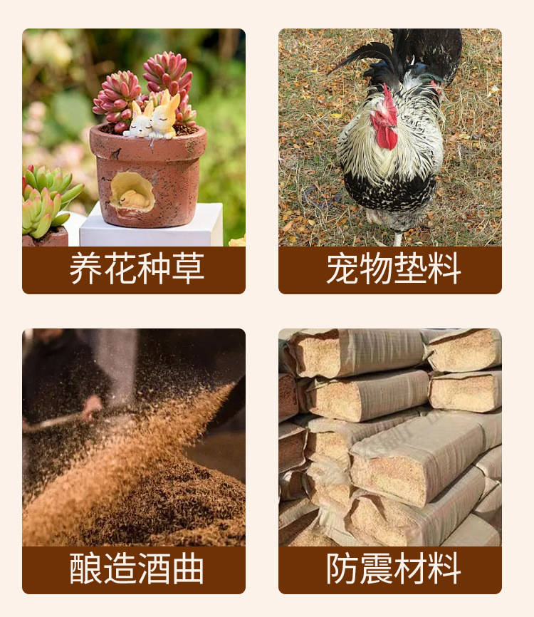 8b15e485-af09-4b8a-9d7d-a51496011932.jpe