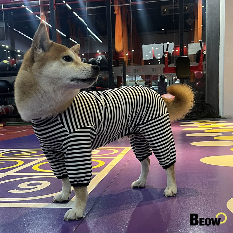 Beo Middle Dog Весенняя и Летняя полосатая четвероногая хлопковая домашняя полосатая одежда Тедди Домашняя собака одежда собаки полиэстер