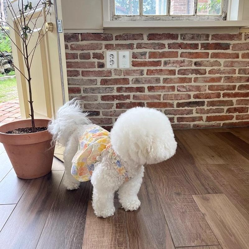 Ropa de perros de mascotas de verano delgada y refrescante vestido transpirable Teddy Bear cachorro Pomélago inns princesa viento