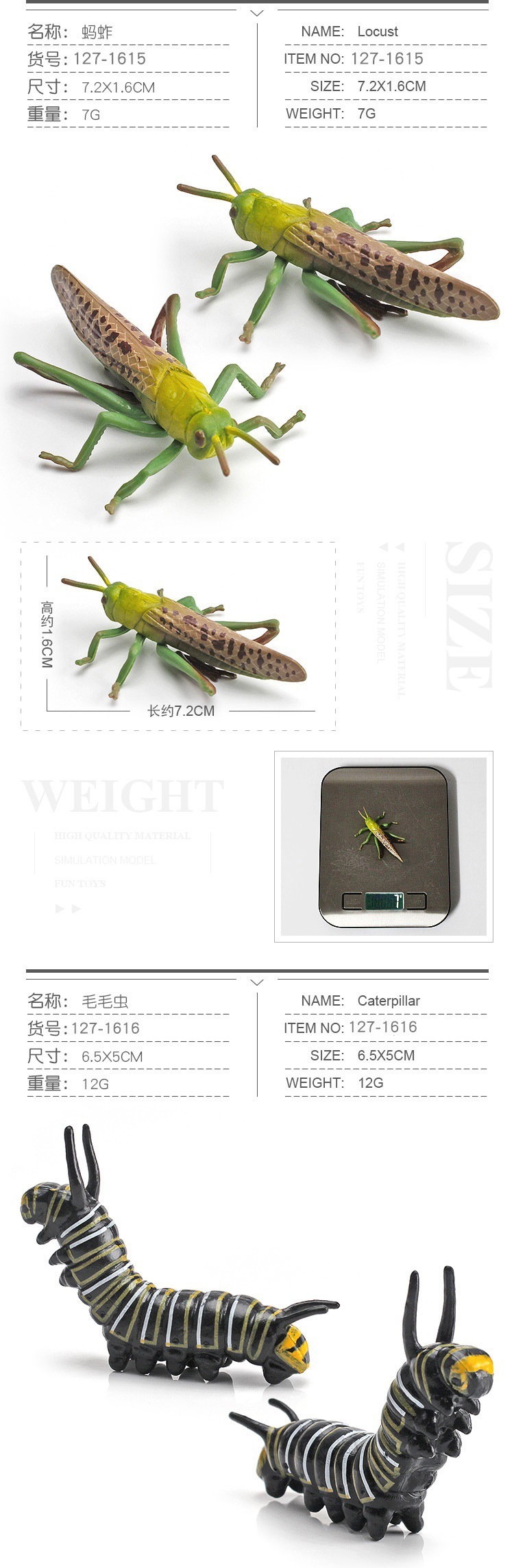 20211109_163634_011.jpg