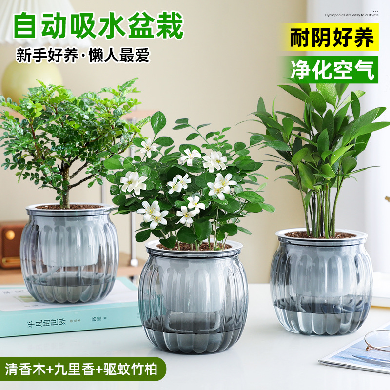 [모기퇴치 패키지] 향나무 + 구리향 + 모기퇴치대나무와 편백나무