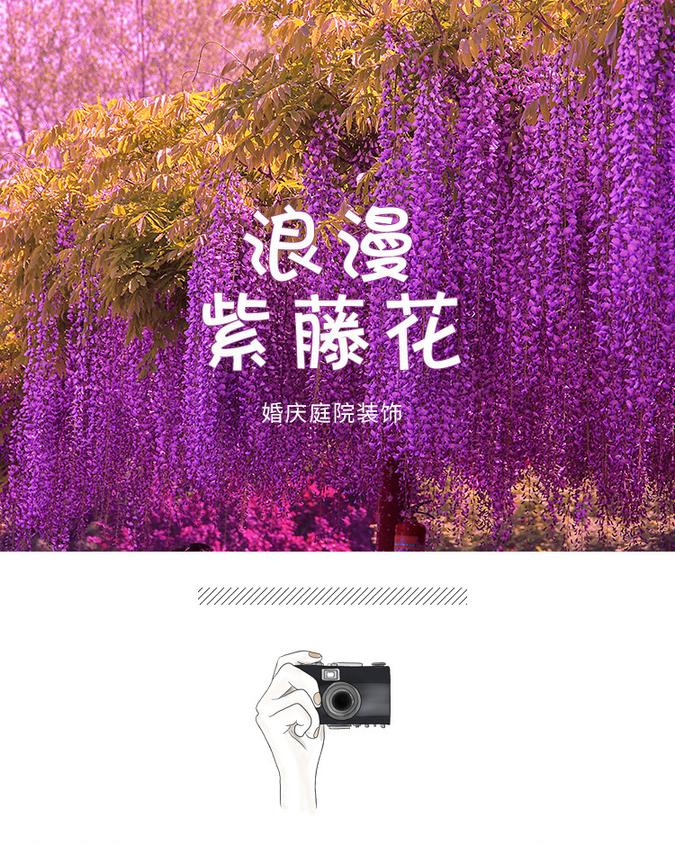 未标题-3_01.jpg