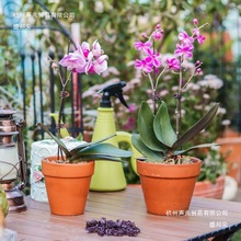 �����m��֧���m�A��֧�ΗUֲ�����ٻ��̶ܹ��F�z֧�܈@ˇ����