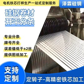 其他硅钢;无取向硅钢;电动机配件