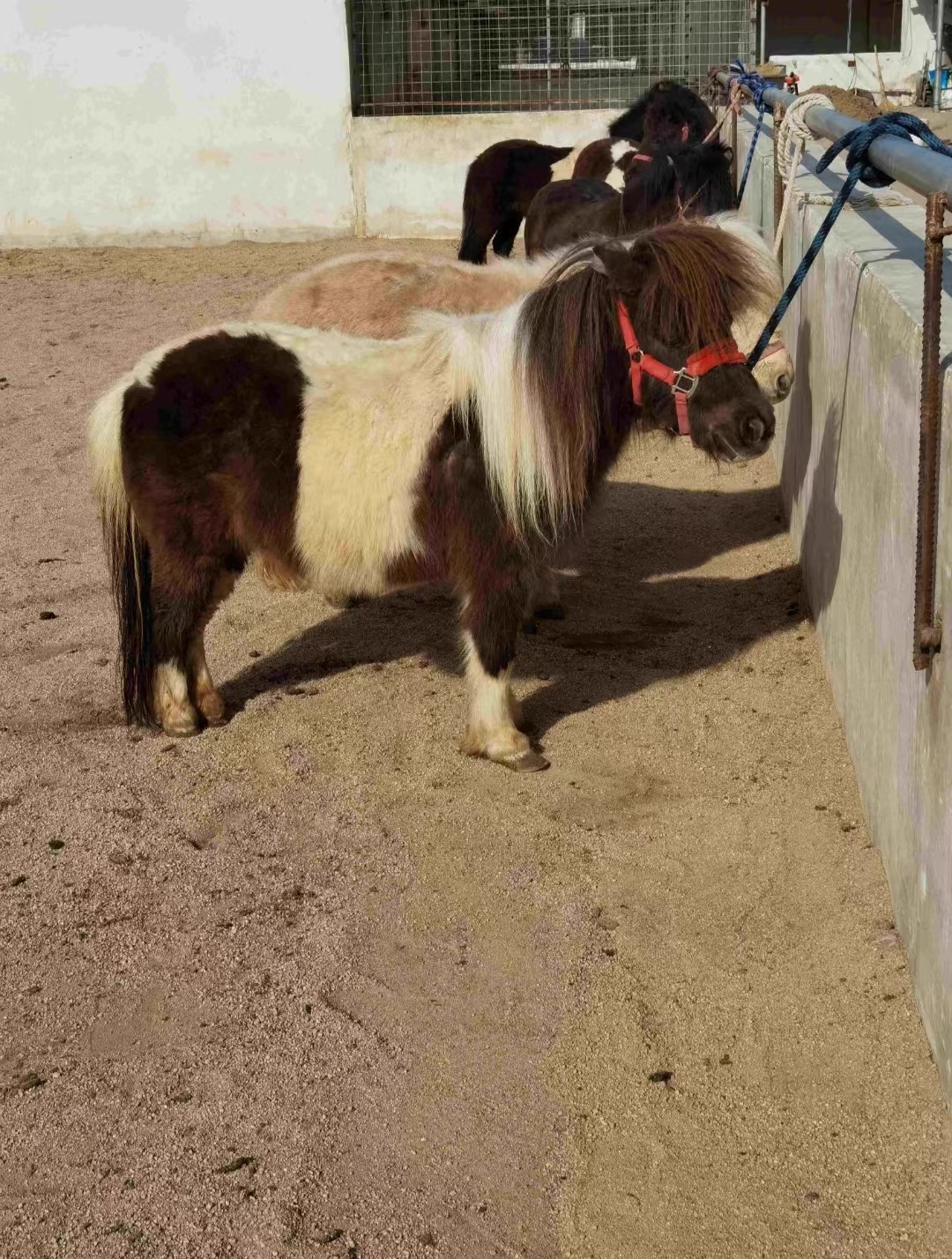 微信图片_202304292034311