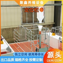 养殖场母猪定位栏 落地式限位栏 猪用定位栏带槽养猪场专用定位栏