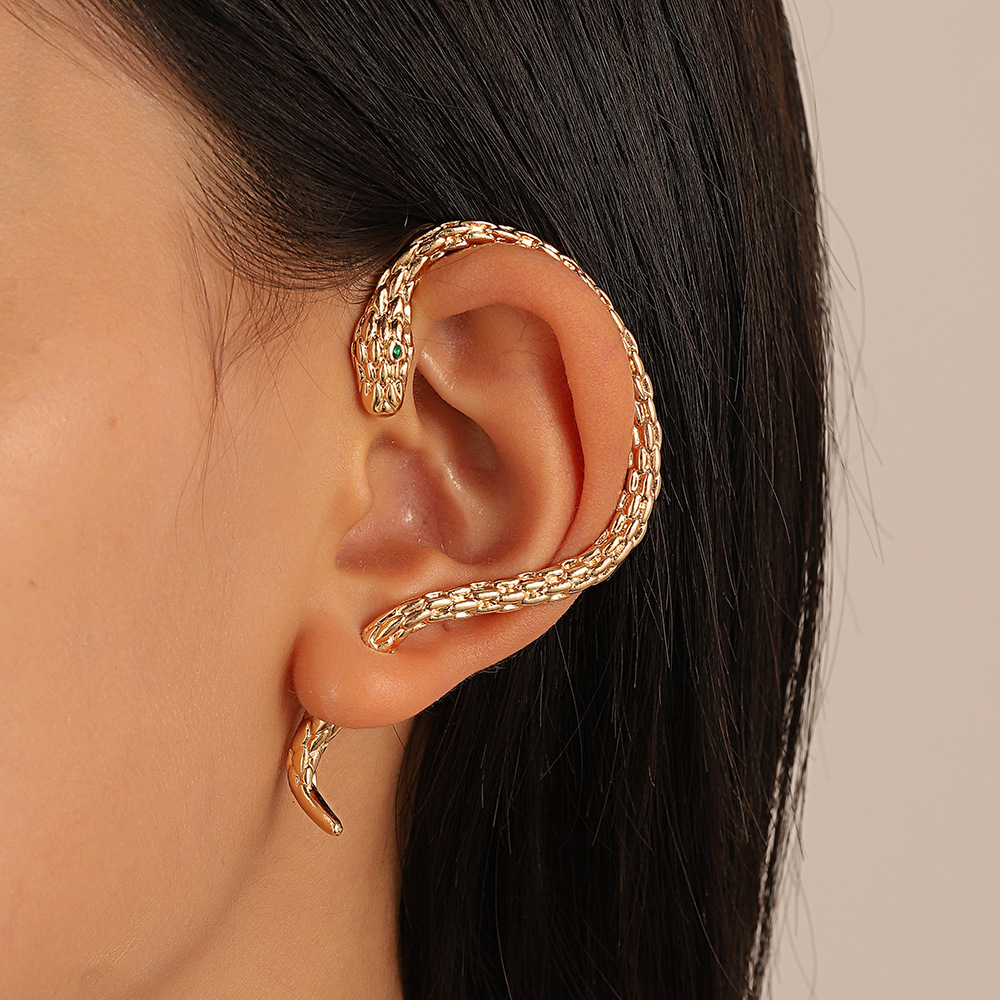 Punk Snake Alloy Plating Unisex Earrings display picture 1