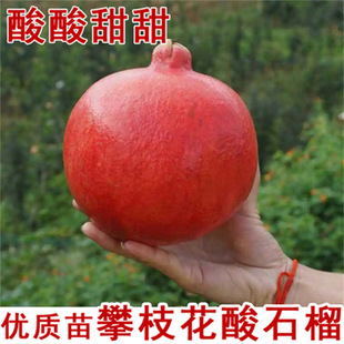 �Ｇ������ͻ��˹ܛ�ѷ�ʯ���������ش����Ե����ϱ�������Y��