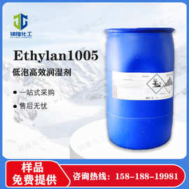 Ethylan 1005 阿克苏诺力昂 低泡润湿剂 低气味 低VOC