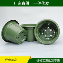 �S��ֱ�N�������χ��Hī�G�N���N�˾ջ��軨ĵ���¼��Gֲ���Ի���