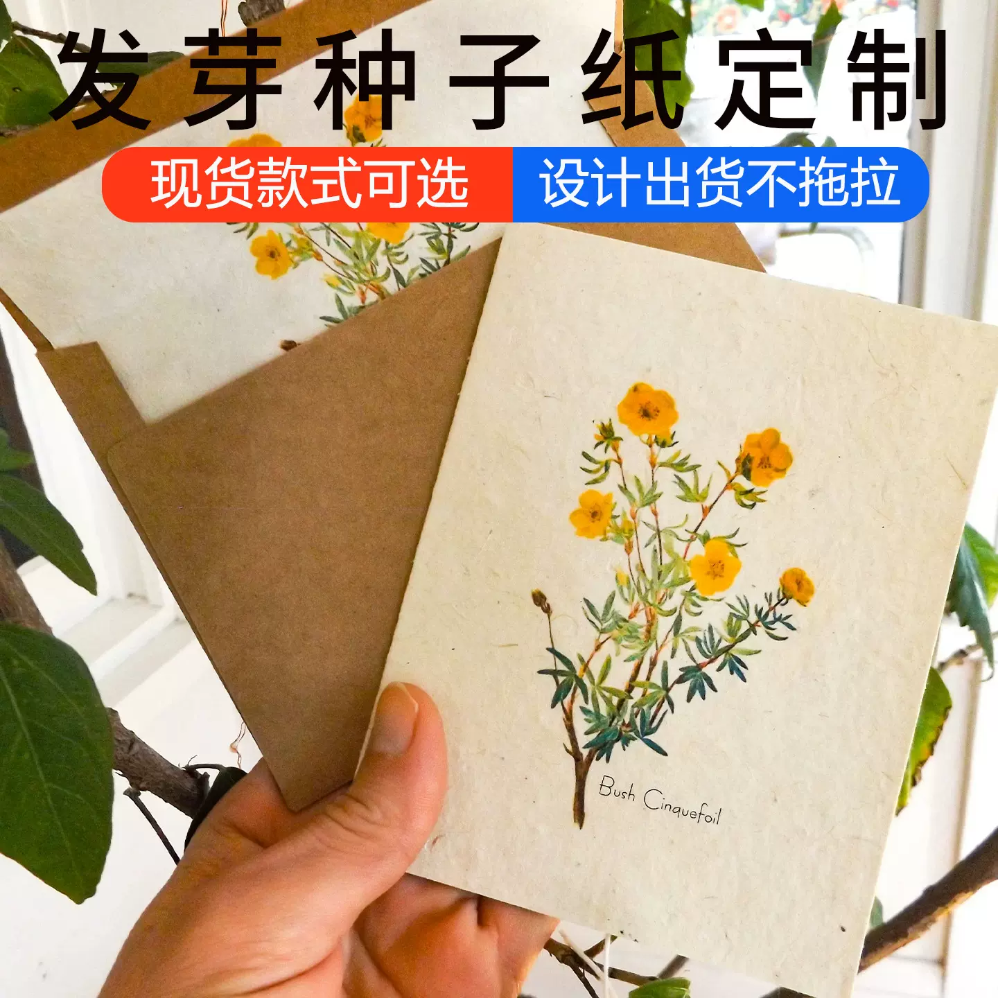 定制可发芽种子纸 邀请函请柬贺卡宣传册可发芽种子纸定制艺术纸