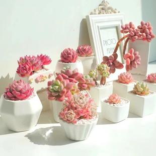 ֲҵ¶ȉ¶ͯӼtʯXF؛Mײ