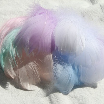 마카롱 라이트 컬러 믹스 (100 루트 배치)