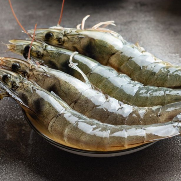 大虾 冻虾冷冻速冻大虾冷冻虾盐冻虾海虾生海鲜水产批发2000g顺丰
