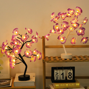 LED�����m��� ���λ��� ��֦������Ů�|�����Ҵ��^̨��Сҹ��