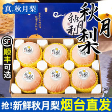 ɽ�|��������������9�����rˮ�������Y����S���x�ش��ˮ������