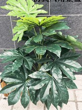 �˽ǽ�P���z�~���G���辰���ԾGֲ���Ͻ����~���������G�~��