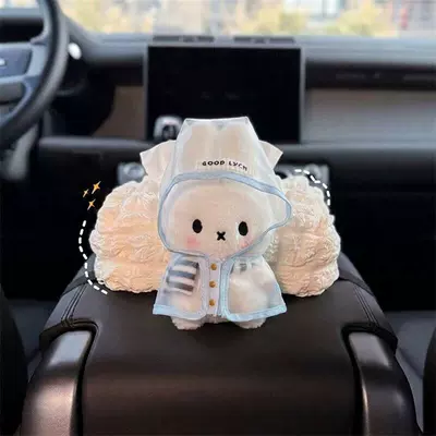 Box, Car Tissue Holder, Car: Car tissue box/set