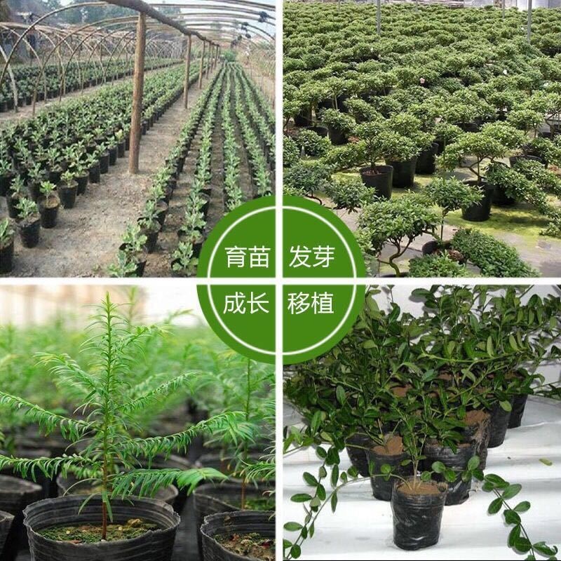 36*30 (diameter 29, height 24) 50 pieces❣❤❦❥❣