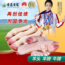 首菜首家羊蹄羊头烧烤食材半成品牛蹄生鲜草原散养拿货商用羊肉